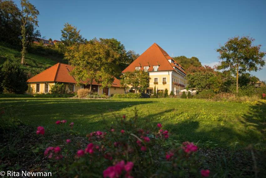 Landhotel Wachau Еммерсдорф-ан-дер-Донау Екстер'єр фото
